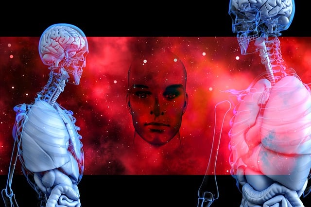Understanding the Endocannabinoid System