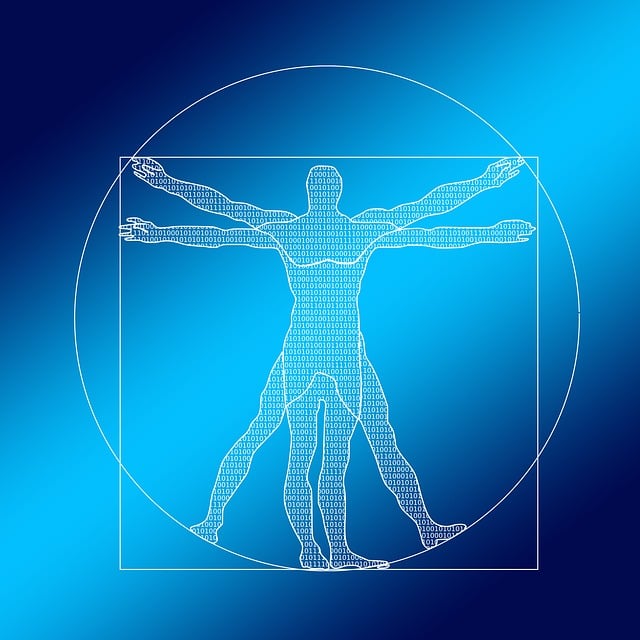 Understanding the Endocannabinoid System