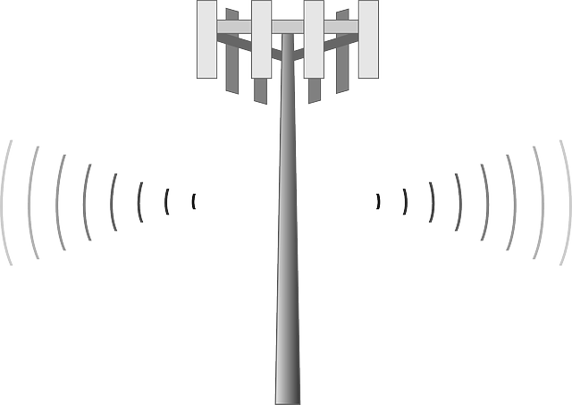 Vehicle Coverage