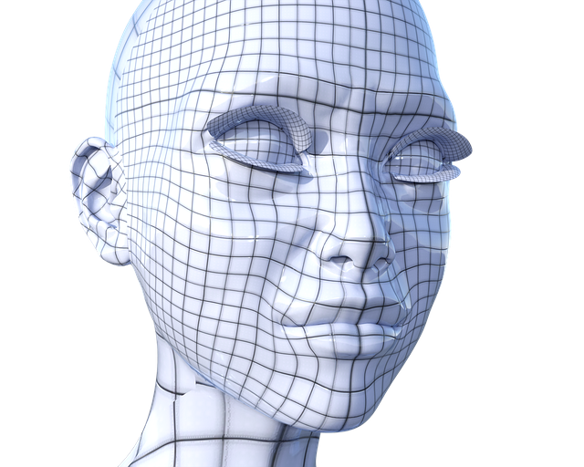 virtual IT director CPA