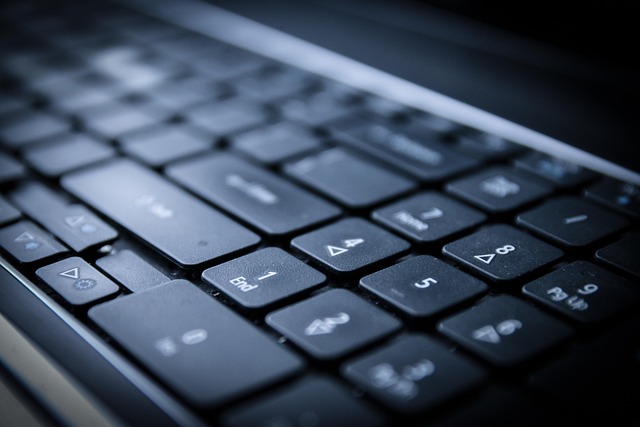virtual IT director CPA