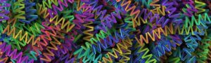 Unlocking Visibility: Implementing SearchAction Schema for Enhanced Website Metadata