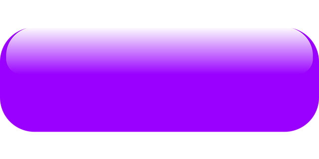 WebSite JSON-LD