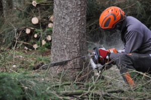 Optimizing Workplace Safety: Choosing Local Workers’ Compensation Providers