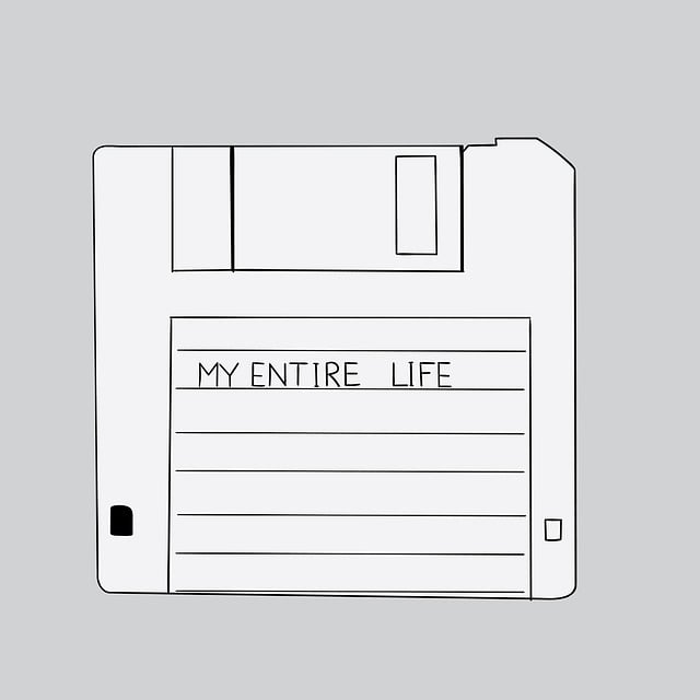 accounting data backup
