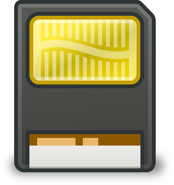 accounting data backup