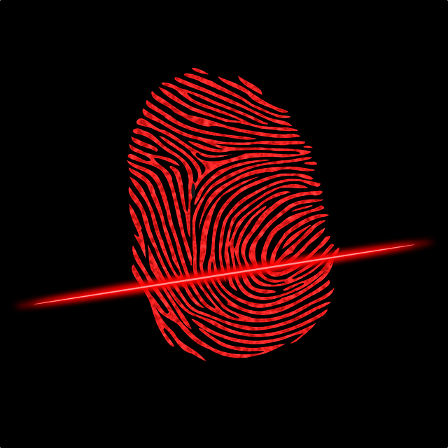 accounting firm IT security