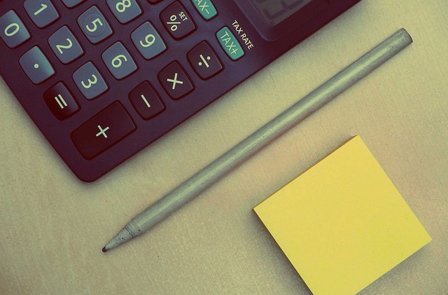 accounting IT consultant