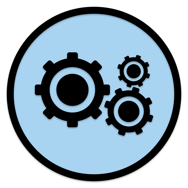 accounting software IT