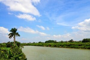 Discover Holistic Pain Relief: Exploring Acupuncture Clinics in Austin