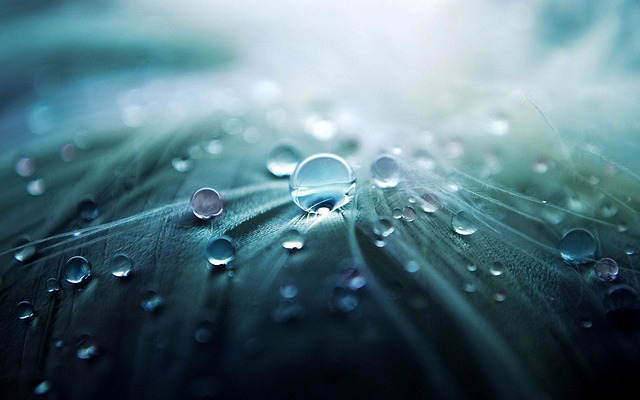 acupuncture near Round Rock