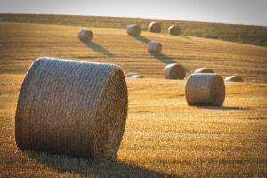 Unwinding Pain: Exploring Acupuncture’s Popularity in Round Rock, TX
