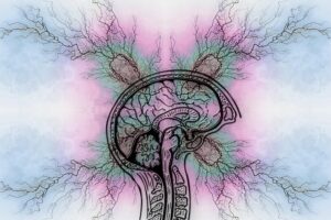 ADHD Therapy Scottsdale AZ: Effective Treatments for Inattention & Impulsivity