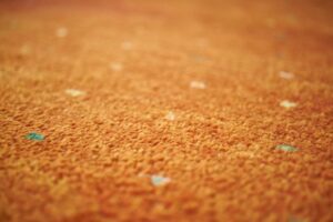 Citrus Bright: Affordable, Eco-Friendly Carpet Cleaning for East Valley Homes