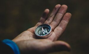 Master SEO Linking with AI: A Comprehensive Guide for Automation