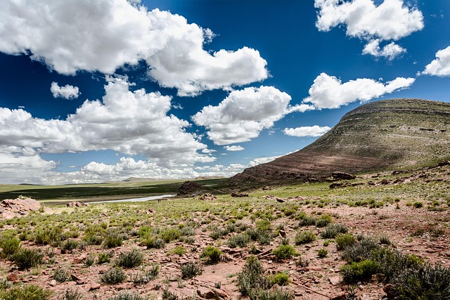 Arizona liability coverage healthcare