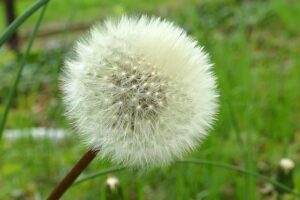 Asset Distribution Mediation: Achieving Equitable Divorce Settlements