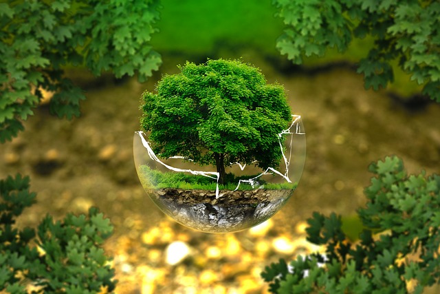 asset protection in mediation
