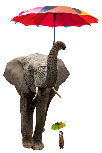 asset protection in mediation