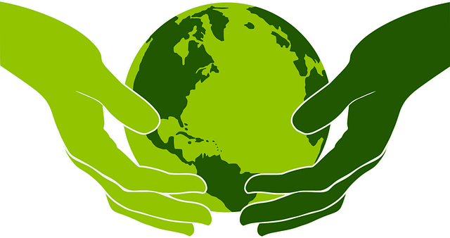 asset protection in mediation