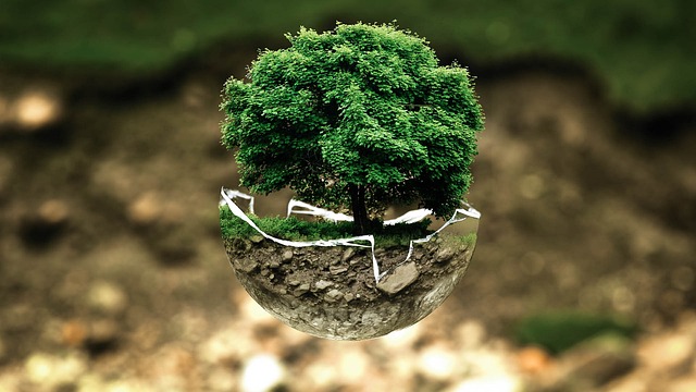 asset protection in mediation