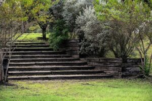 Unveiling Integrative Wellness: Austin’s Holistic Health Hub