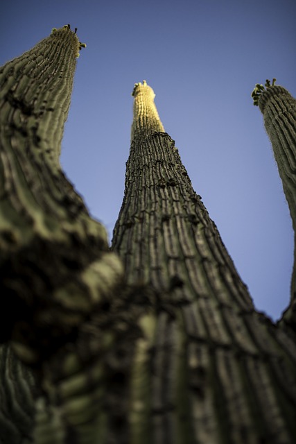 AZ coverage for medical businesses