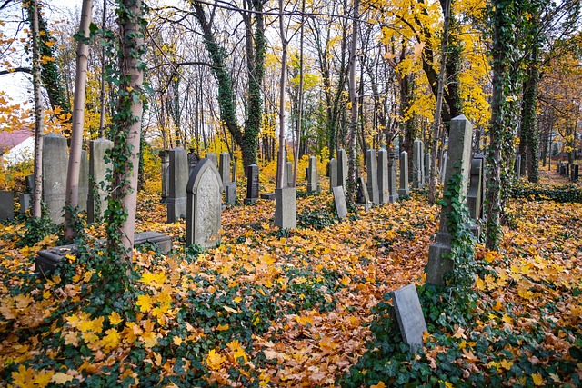 bereavement counseling Chandler