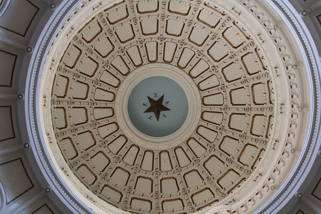 best acupuncture Austin
