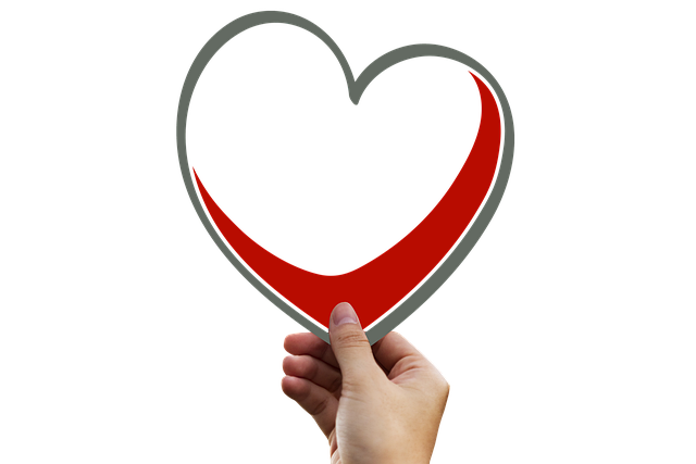 Best Auto Insurance Rates