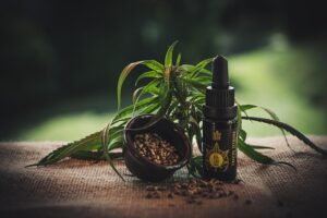 Unveiling Non-Psychoactive Cannabinoids: Benefits, Science, and Best CBD Edibles