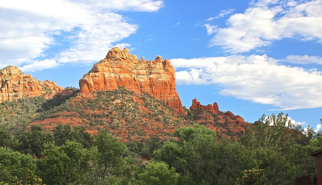 Bodify Arizona