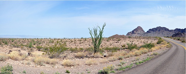 Bodify Arizona