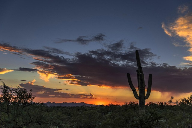 Bodify Arizona