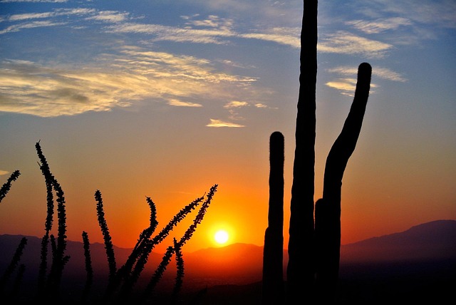 Bodify Arizona
