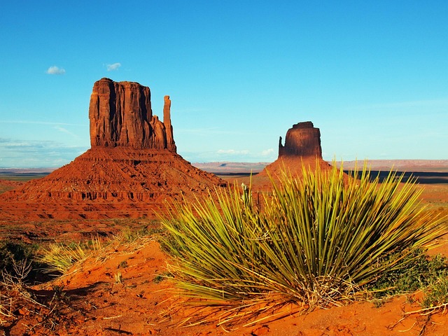 Bodify Arizona