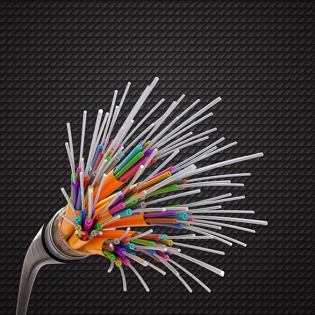 Breadcrumb Structured Data