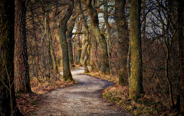 Breadcrumb Trail Schema