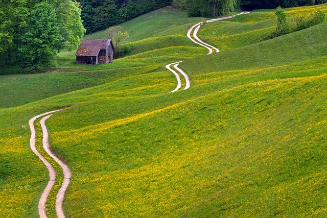 Breadcrumb Trail Schema
