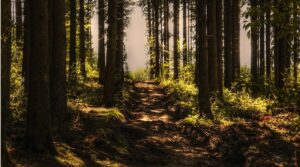 breadcrumb-trail-schema-640x480-35996734.jpeg