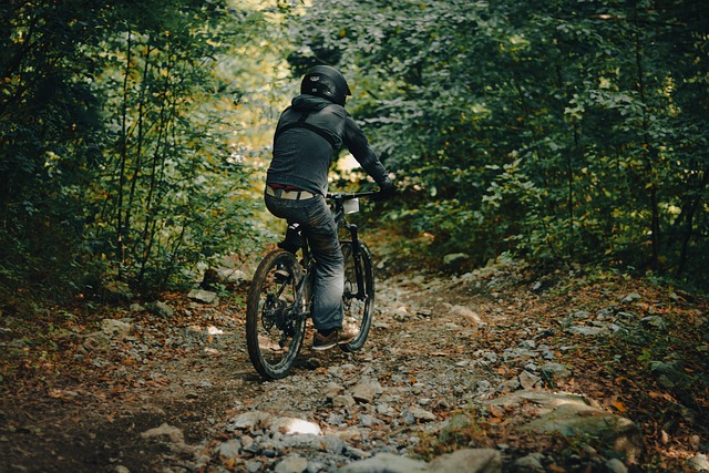 Breadcrumb Trail Schema