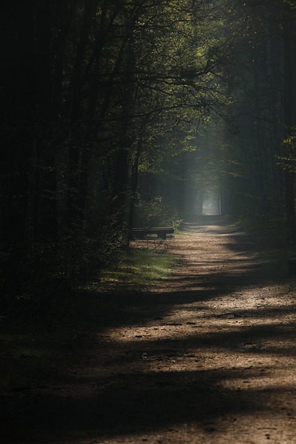 Breadcrumb Trail Schema