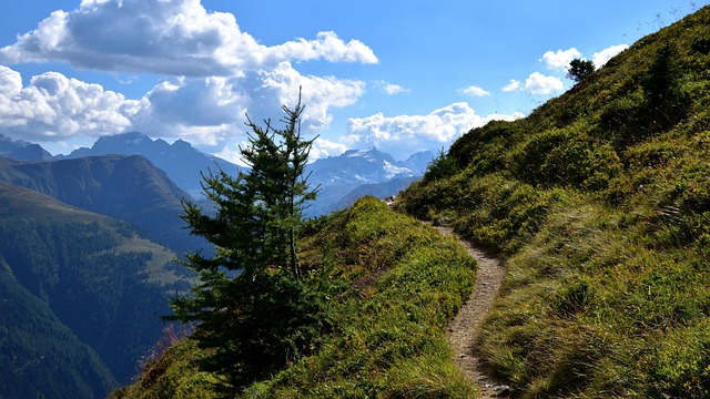 Breadcrumb Trail Schema