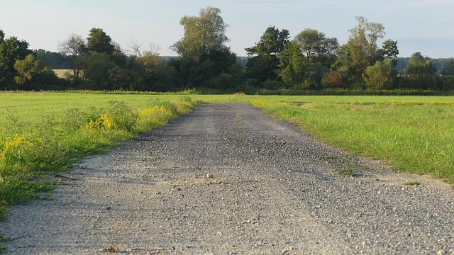 Breadcrumb Trail Schema
