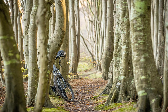 Breadcrumb Trail Schema