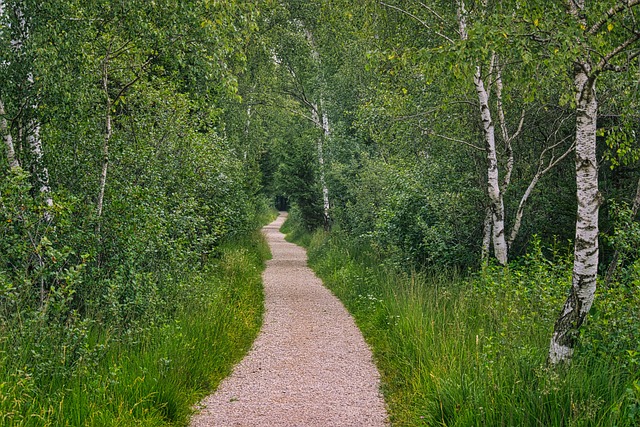 Breadcrumb Trail Schema