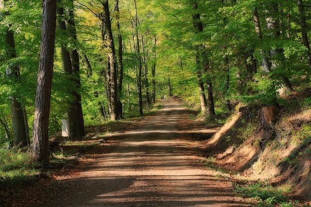 Breadcrumb Trail Schema