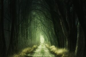 Optimize SEO with Breadcrumb Trail Schema: Clarity & Visibility