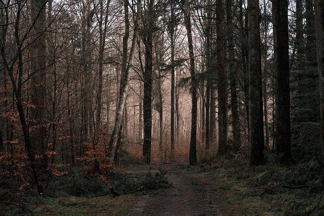Breadcrumb Trail Schema