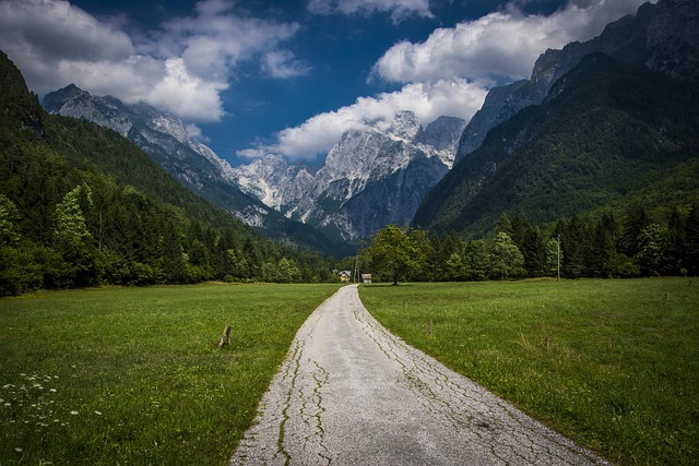 Breadcrumb Trail Schema